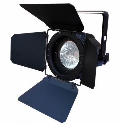 PSL PAR COB 150 RGBW